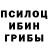 Псилоцибиновые грибы мицелий FraGaReca