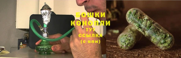 стафф Дмитриев