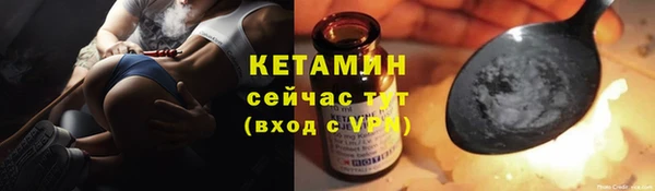 стафф Дмитриев