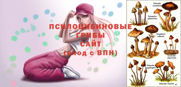 стафф Дмитриев